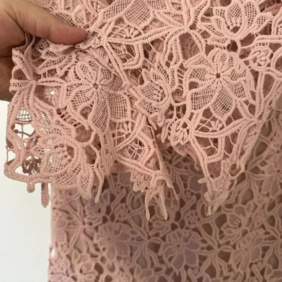 NWT 424 Fifth Lord & Taylor Knee-Length A-Line Lace Shift Dress Blush Nude Sz 8 - Picture 5 of 12